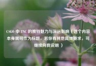 CSGO 中 TNC 的独特魅力与深远影响（这个内容本身就可作为标题，若你有其他具体要求，可继续向我说明 ）