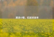 清凉CF情，忆起旧流年