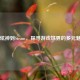 从炫神到Steam，探寻游戏世界的多元魅力