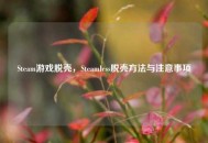 Steam游戏脱壳，Steamless脱壳 *** 与注意事项