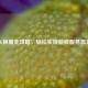 PUBG换服全攻略，轻松实现游戏服务器切换
