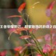 王者荣耀妲己，甜蜜魅惑的游戏之音