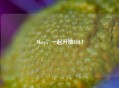 Mate，一起开撸LOL！