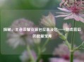 探秘，王者荣耀资源包位置及它——游戏背后的能量宝库