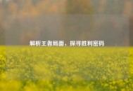 解析王者局面，探寻胜利密码