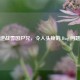 逆战雪国尸兄，令人头疼的 Bug 问题