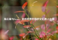 海云星与Steam，游戏世界的奇妙交汇遇上台风