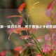 三国之一猛将吕布，死于曹操之手的悲歌落幕