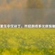 Steam重生中文补丁，开启游戏多元体验新大门