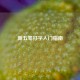 新五笔打字入门指南