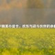 和平精英小皮卡，欢乐与战斗伙伴的承载者