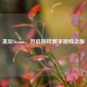 贪玩Steam，开启别样数字游戏之旅