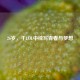 26岁，于LOL中续写青春与梦想
