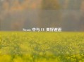 Steam 中与 UU 美好邂逅