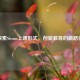 探索Steam上课形式，创新教育的新路径