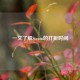 一文了解Steam的打折时间