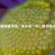 探秘海星市场，多少钱一斤，能否购买？
