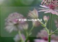 一文详解CSGO投降 *** 