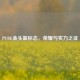PUBG金头盔标志，荣耀与实力之征