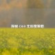 探秘 CSGO 无后搜策略