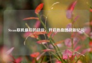 Steam联机最后的战役，开启热血团战新纪元