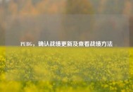 PUBG，确认战绩更新及查看战绩 *** 