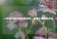 CF手游卫星地图教程视频，掌握关键制霸战场