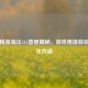 和平精英淘汰211意思揭秘，游戏用语背后的文化内涵