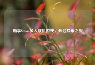 畅享Steam多人联机游戏，开启欢乐之旅