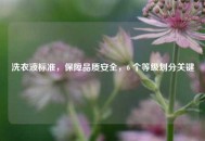 洗衣液标准，保障品质安全，6 个等级划分关键
