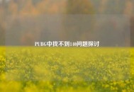 PUBG中找不到140问题探讨