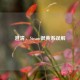 澄清，Steam很黄系误解