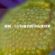 揭秘，LOL台服的独特头像世界