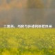 三国杀，马良与许褚的别样风采