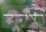 哔哩哔哩携手和平精英比赛，开启电竞新热潮