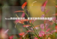 Steam西部枪械游戏，重温狂野西部热血***