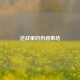 逆战里的伤感集结