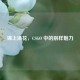 锦上添花，CSGO 中的别样魅力