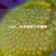 CSGO，AK手感排行大揭秘