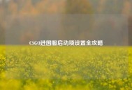 CSGO进国服启动项设置全攻略