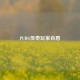 PUBG传奇玩家肖恩