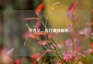 湉字含义、五行属性解析