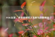 PUBG玩家，老地图掉线之无奈与改善期待