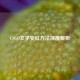 CSGO文字变红 *** 深度解析