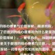 截图的核心要素与价值探秘，精准对应， 直接呼应了您提到的核心要素和为什么截图如此重要（价值探秘）。，聚焦核心， 标题明确点出主题是关于截图的核心要素与价值。，吸引关注， 探秘一词带有探究和揭秘的意味，能引发读者兴趣。