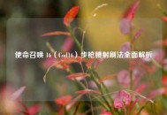 使命召唤 16（Cod16）步枪腰射刷法全面解析