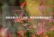 探秘北枫LOL个人资料，揭开电竞神秘面纱