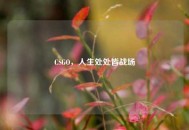 CSGO，人生处处皆战场
