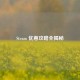 Steam 优惠攻略全揭秘