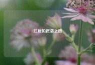 江辰的逆袭之路